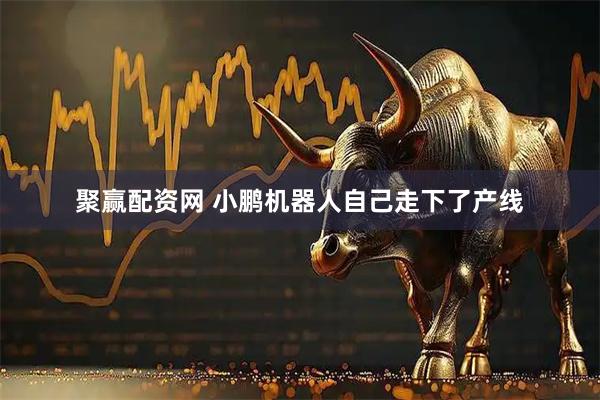 聚赢配资网 小鹏机器人自己走下了产线